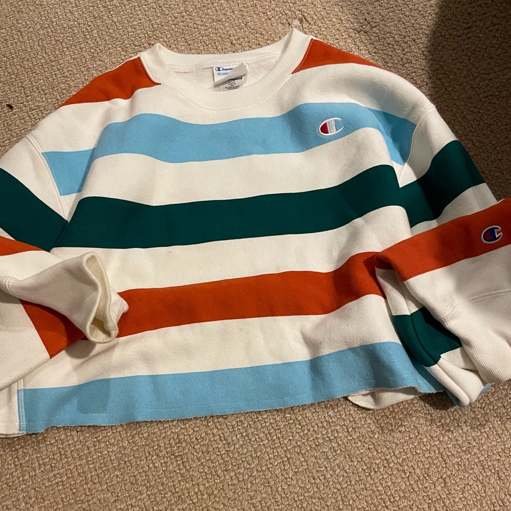 Champion cropped hoodie